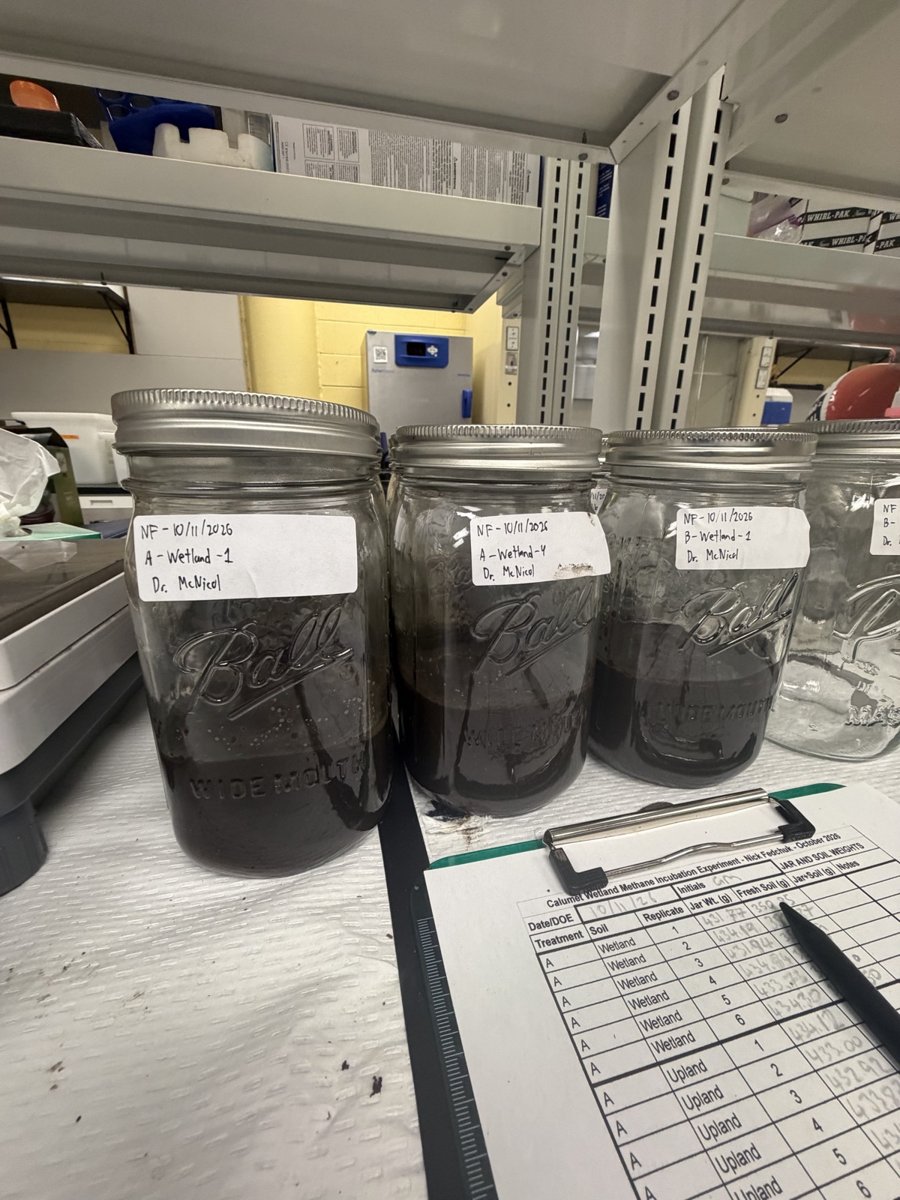 Several large glass jars filled with dark soil, sealed with lids, arranged on a laboratory bench.